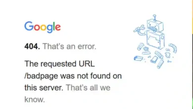 गुगल एरर