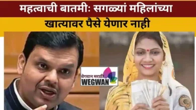 माझी लाडकी बहिण योजना