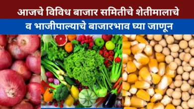 आजचे बाजारभाव