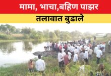 मामा भाची बहिण