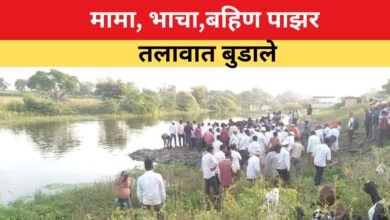 मामा भाची बहिण